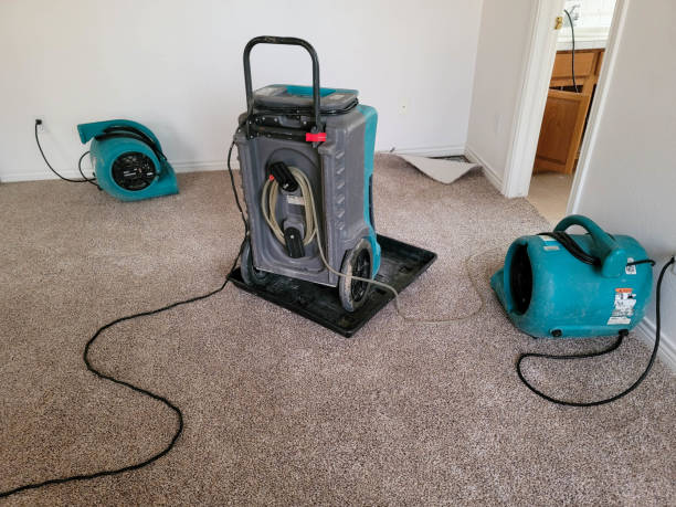 Best Water damage restoration process  in Weatherly, PA