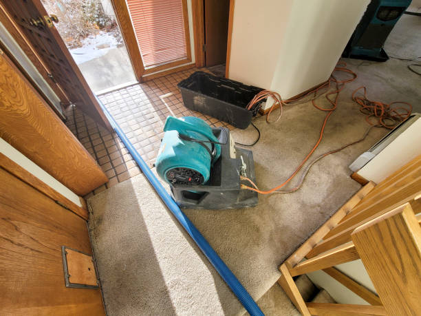 Best Water damage restoration near me  in Weatherly, PA