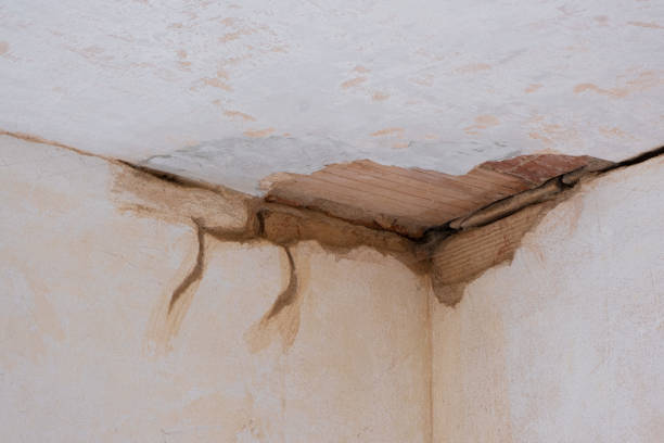 Best Flooded house restoration  in Weatherly, PA