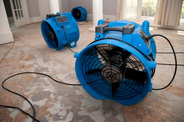 Best Emergency water damage restoration  in Weatherly, PA
