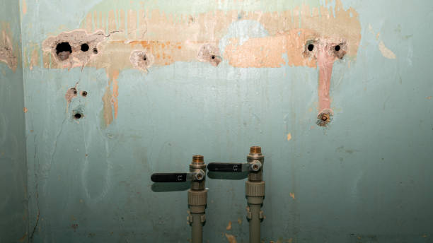 Best 24-hour water damage restoration  in Weatherly, PA