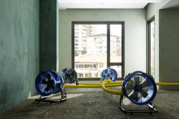 Best Water damage cleanup near me  in Weatherly, PA